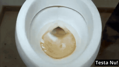 Pimpstensborste med 360° Rengöring – Effektiv mot Kalk & Fläckar