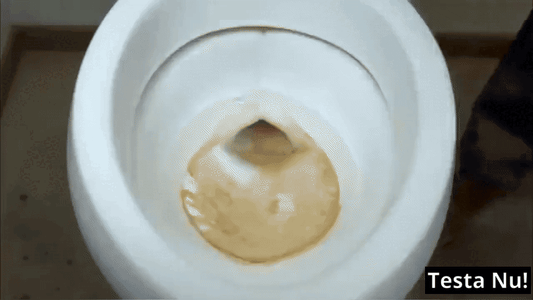 Pimpstensborste med 360° Rengöring – Effektiv mot Kalk & Fläckar